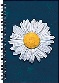Daisy Blank Writing Journal Notebook (Spiral-bound)