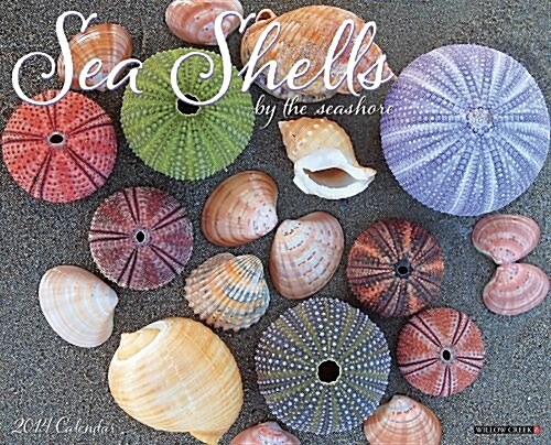 Sea Shells 2014 Wall Calendar (Calendar, Wal)