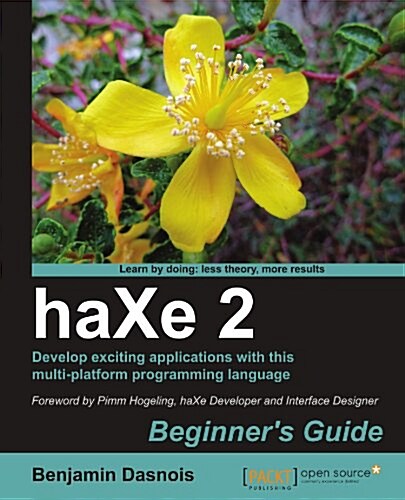 Haxe 2 Beginners Guide (Paperback)