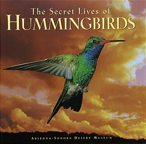 The Secret Lives of Hummingbirds (Paperback)