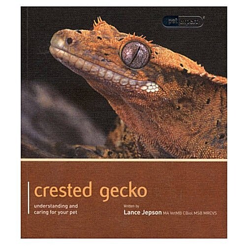 Crested Gecko - Pet Expert : Understanding and Caring for Your Pet (Paperback)