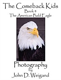 The Comeback Kids, Book 4, the American Bald Eagle (Paperback)