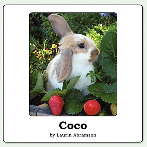 Coco (Paperback)