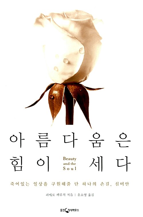 [중고] 아름다움은 힘이 세다