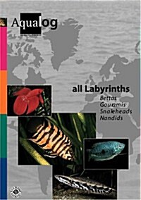 AQUALOG All Labyrinths - Bettas, Gouramis, Snakeheads and Nandids (English and German Edition) (Paperback, 1st)