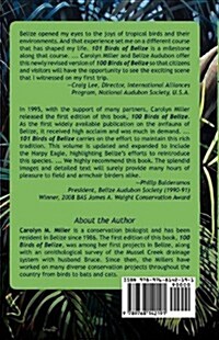 101 Birds of Belize (Paperback)