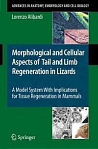 Morphological and Cellular Aspects of Tail and Limb Regeneration in Lizards: A Model System with Implications for Tissue Regeneration in Mammals (Paperback)