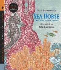 Sea horse :the shyest fish in the sea 