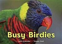 Busy Birdies (Board Books)