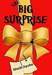 The Big Surprise (Paperback)