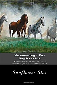 Numerology for Sagittarius: The Forecasts (Paperback)