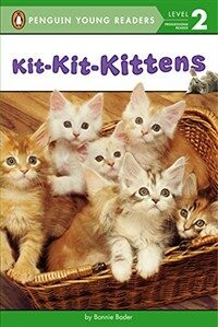 Kit-Kit-Kittens (Paperback)
