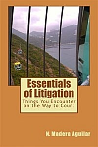 Things You Encounter on the Way to Court: In Civil Proceedings (Based on the Philippine Experience Under Its Legal System (Paperback)