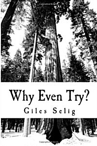 Why Even Try?: What Difference Is It Going to Make (Paperback)