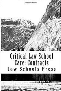 Critical Law School Care: Contracts: Bonus Model Essays (Paperback)