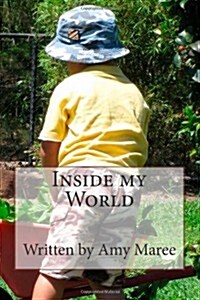 Inside My World (Paperback)