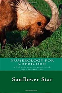 Numerology for Capricorn: The Forecasts (Paperback)