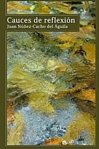 Cauces de reflexion (Paperback)