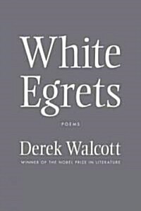 White Egrets (Hardcover)