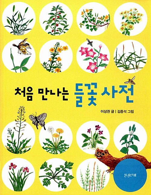 [중고] 처음 만나는 들꽃 사전