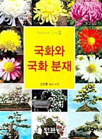 [중고] 국화와 국화 분재