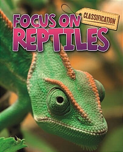 Classification: Focus on: Reptiles (Paperback)