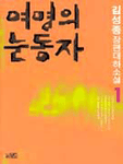 여명의 눈동자:김성종 장편대하소설