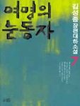 여명의 눈동자:김성종 장편대하소설