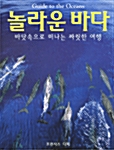 놀라운 바다