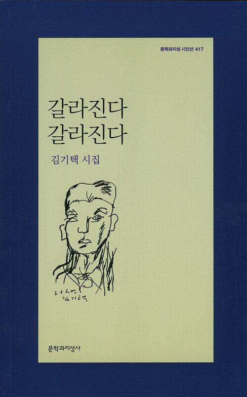 갈라진다 갈라진다 - 문학과지성 시인선 417