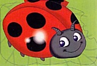 Ladybird : Chunky Animals (Board Book)