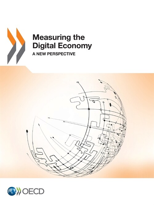 Measuring the Digital Economy: A New Perspective (Paperback)