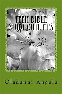 Teen Bible Study Outlines (Paperback)