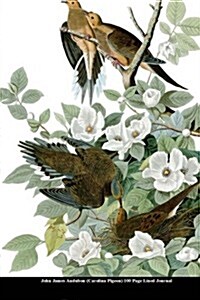 John James Audubon (Carolina Pigeon) 100 Page Lined Journal: Blank 100 Page Lined Journal for Your Thoughts, Ideas, and Inspiration (Paperback)