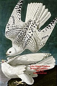 John James Audubon (White Gyrfalcons) 100 Page Lined Journal: Blank 100 Page Lined Journal for Your Thoughts, Ideas, and Inspiration (Paperback)
