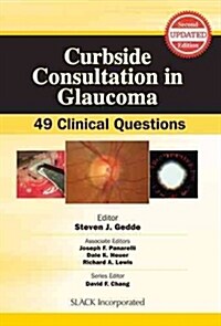 Curbside Consultation in Glaucoma: 49 Clinical Questions (Paperback, 2)