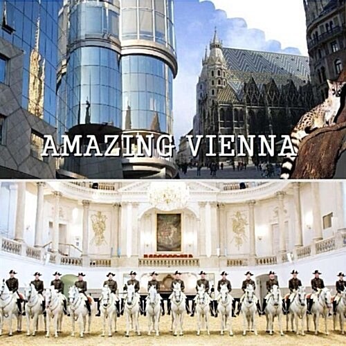 Amazing Vienna (Paperback)