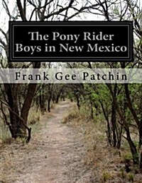 The Pony Rider Boys in New Mexico (Paperback)