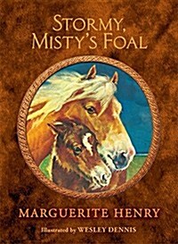 Stormy, Mistys Foal (Hardcover, Reissue)