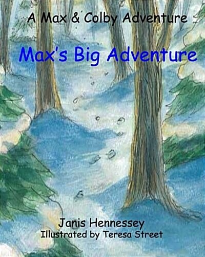 Maxs Big Adventure: Maxs Big Adventure (Paperback)