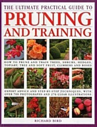 Ultimate Practical Guide to Pruning and Training (Paperback)