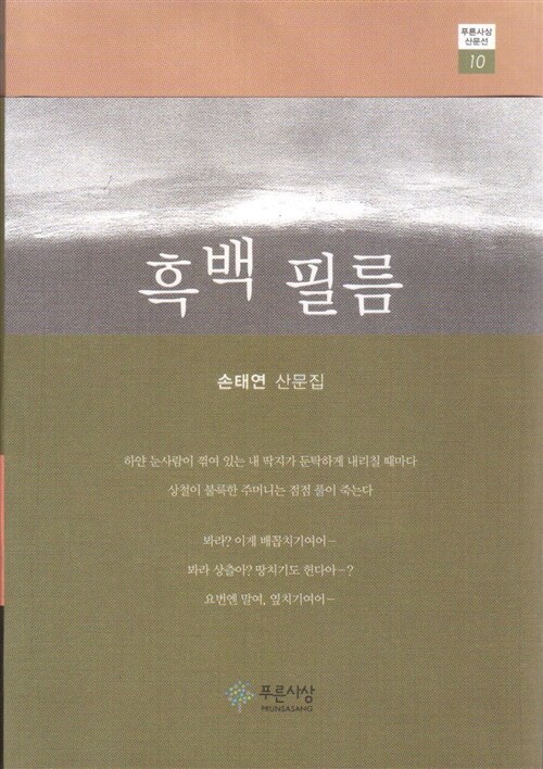 흑백필름 : 손태연 산문집