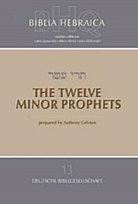 The Twelve Minor Prophets (Softcover) (Paperback)