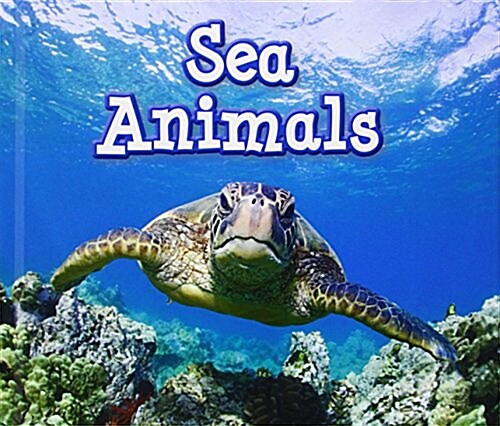 Sea Animals (Hardcover)