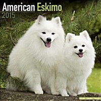American Eskimo 2015