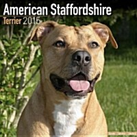 American Staffordshire Terrier 2015