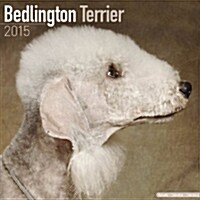 Bedlington Terrier 2015
