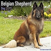Belgian Shepherd 2015