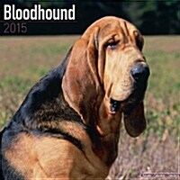 Bloodhound 2015