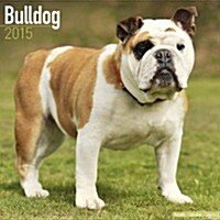 Bulldog 2015